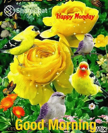 Detail Animated Good Morning Gif Nomer 42
