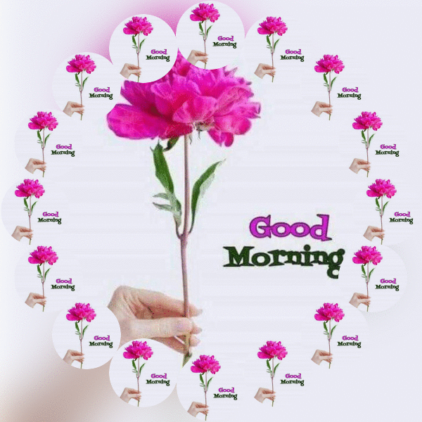 Detail Animated Good Morning Gif Nomer 46