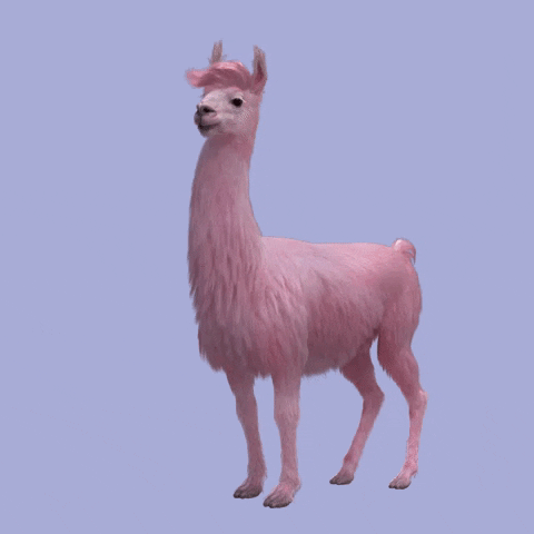 Detail Animated Llama Gif Nomer 16