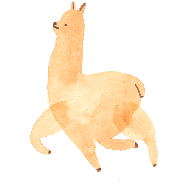 Detail Animated Llama Gif Nomer 20