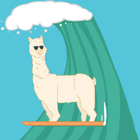 Detail Animated Llama Gif Nomer 26