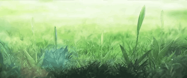 Detail Anime Grass Gif Nomer 11