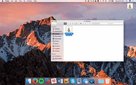 App To Open Gif Files - KibrisPDR