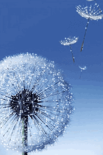 Detail Background Keren 3d Bergerak Nomer 29
