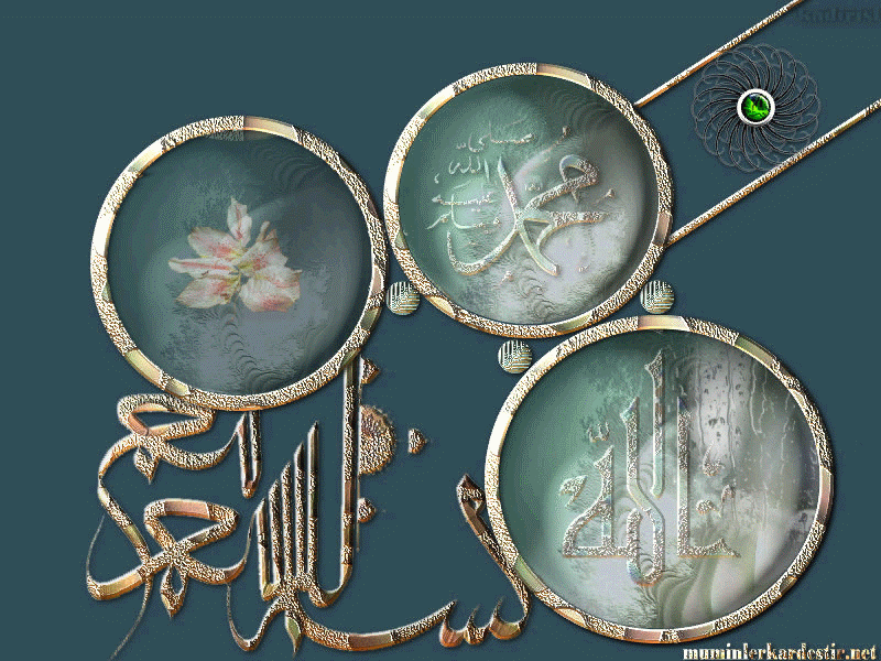 Detail Background Keren 3d Bergerak Nomer 35