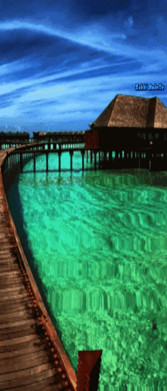 Detail Background Keren 3d Bergerak Nomer 38