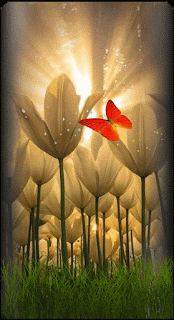 Detail Background Keren 3d Bergerak Nomer 45