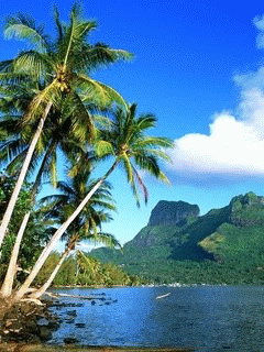 Detail Background Keren 3d Bergerak Nomer 46