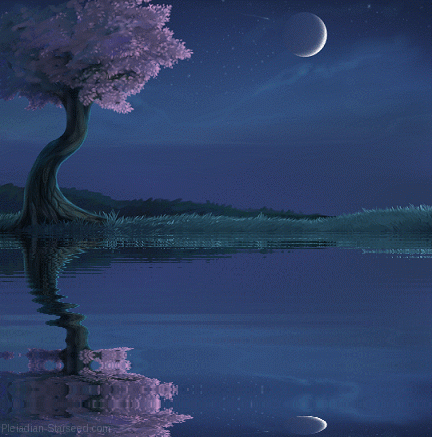 Detail Background Langit Malam Animasi Nomer 3
