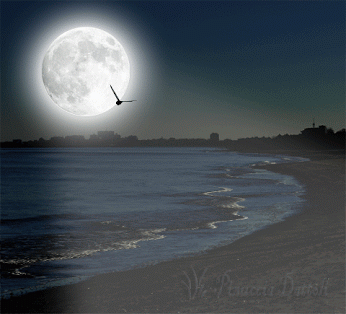 Detail Background Langit Malam Animasi Nomer 44