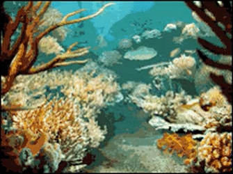 Detail Background Laut Animasi Nomer 20