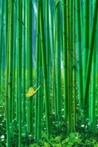 Detail Bambu Animasi Nomer 4