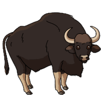 Detail Banteng Animasi Nomer 35