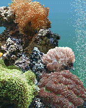 Detail Bawah Laut Kartun Nomer 32