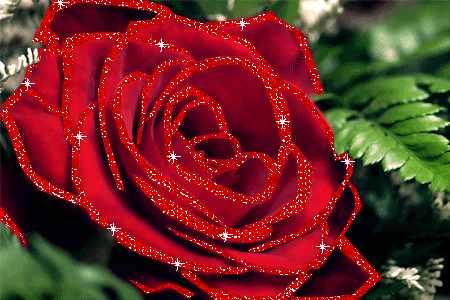 Detail Beautiful Rose Gif Images Nomer 27
