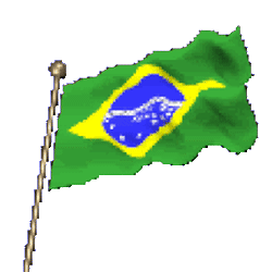 Detail Bendera Brazil Bergerak Nomer 38