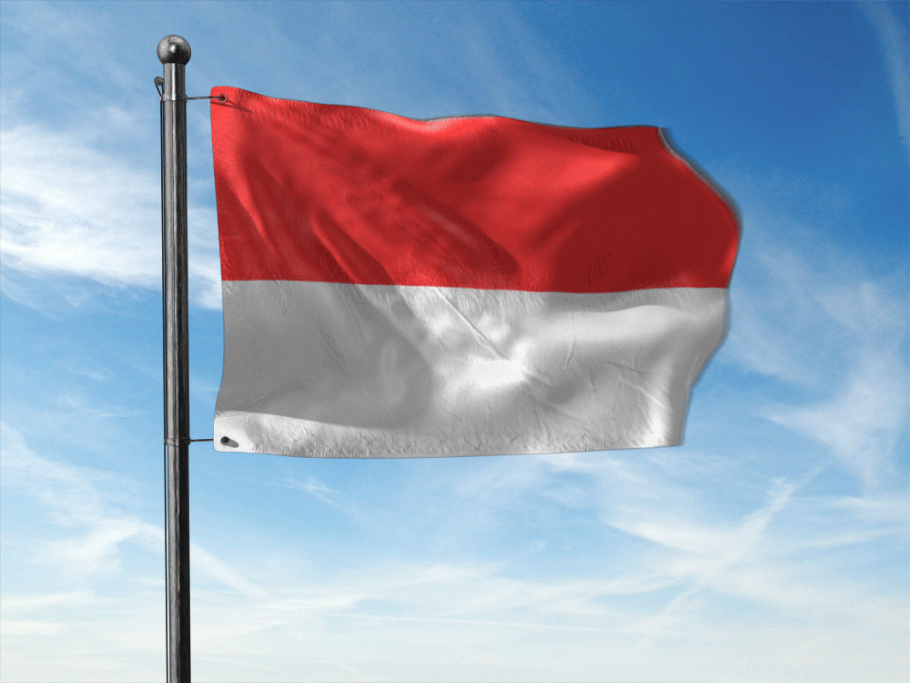 Detail Bendera Indonesia Berkibar Gif Nomer 13