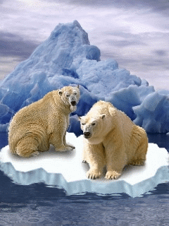 Detail Beruang Kutub Animasi Nomer 51