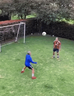 Detail Bola Gif Nomer 21