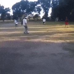 Detail Bola Gif Nomer 30
