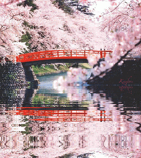 Detail Bunga Sakura Animasi Nomer 10