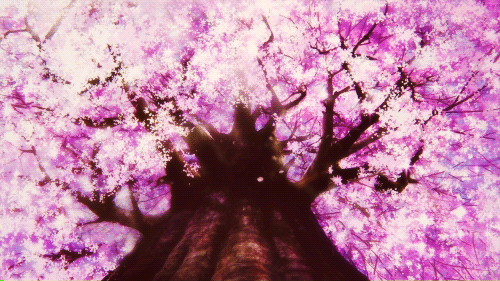 Detail Bunga Sakura Animasi Nomer 22