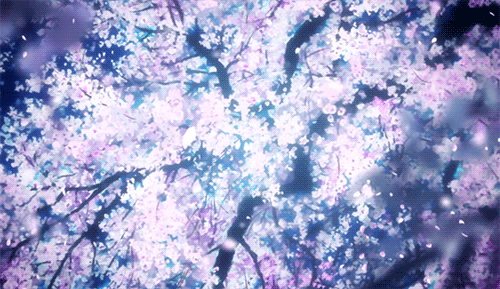 Detail Bunga Sakura Animasi Nomer 41
