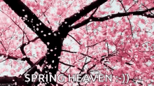 Detail Bunga Sakura Gif Nomer 12