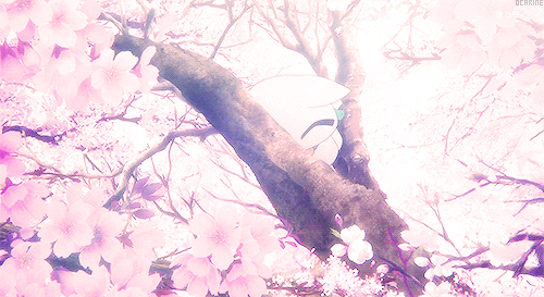 Detail Bunga Sakura Gif Nomer 19
