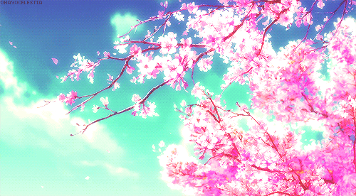 Detail Bunga Sakura Gif Nomer 29