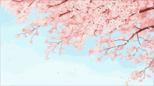 Detail Bunga Sakura Gif Nomer 44