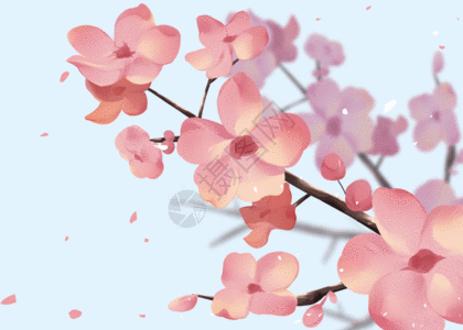 Detail Bunga Sakura Kartun Png Nomer 12
