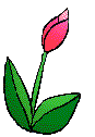 Detail Bunga Tulip Kartun Nomer 4