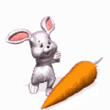 Detail Bunny Eating Carrot Gif Nomer 12