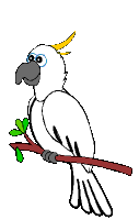 Detail Burung Animasi Nomer 5