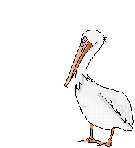 Detail Burung Animasi Nomer 24