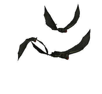 Detail Burung Animasi Nomer 26