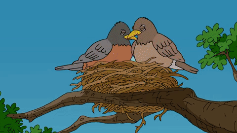 Detail Burung Animasi Nomer 40