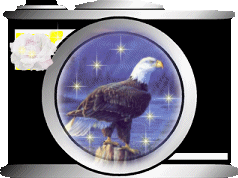 Detail Burung Elang Animasi Nomer 14