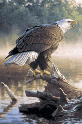 Detail Burung Elang Animasi Nomer 16