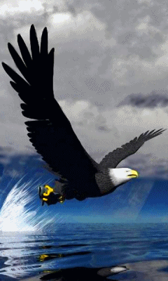 Detail Burung Elang Animasi Nomer 17