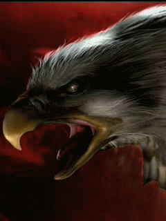 Detail Burung Elang Animasi Nomer 18