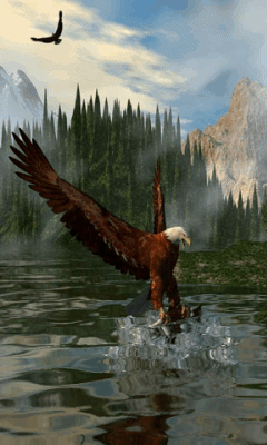 Detail Burung Elang Animasi Nomer 21