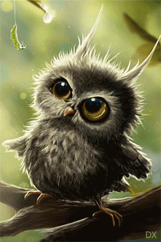 Detail Burung Hantu Animasi Nomer 6