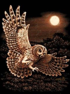 Detail Burung Hantu Animasi Nomer 8