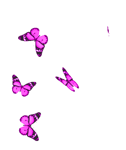 Detail Butterfly Gif Transparent Nomer 5