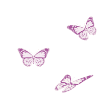Detail Butterfly Transparent Gif Nomer 19