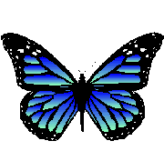 Detail Butterfly Transparent Gif Nomer 20