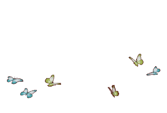 Detail Butterfly Transparent Gif Nomer 21