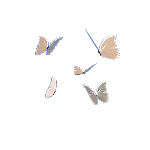 Detail Butterfly Transparent Gif Nomer 5